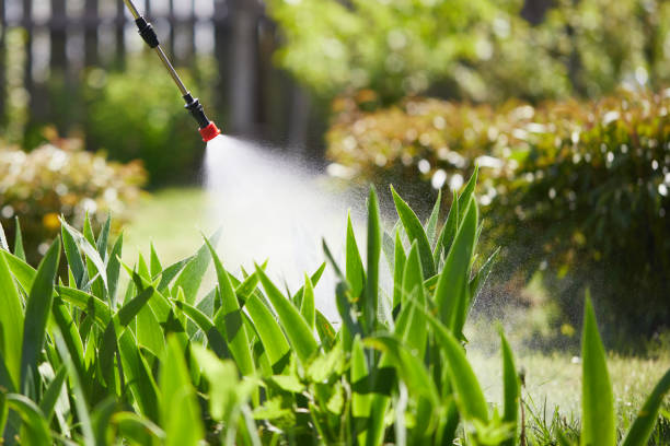 24/7 Emergency Mosquito Control experts in Waipio Acres, HI